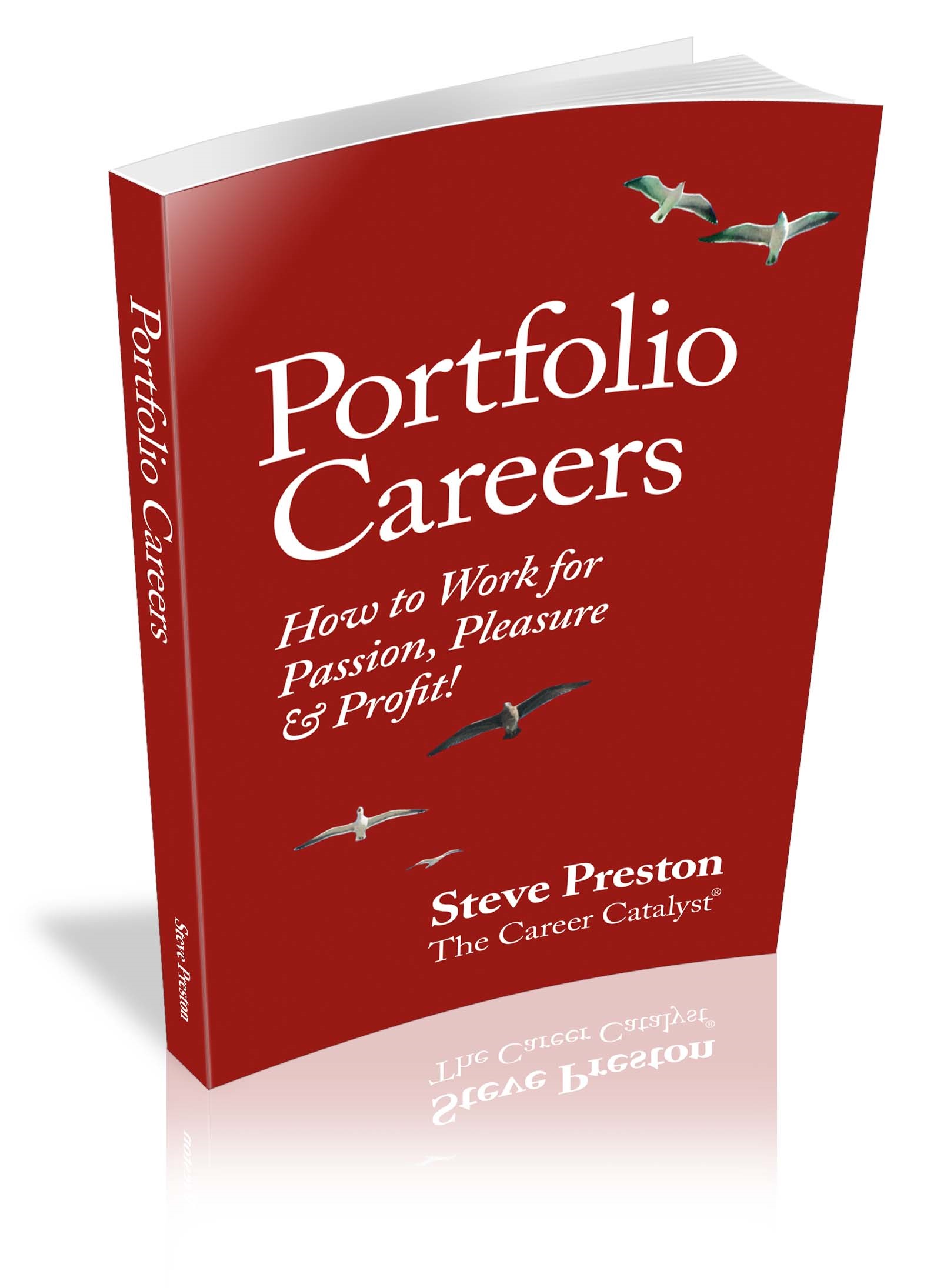 Portfolio Careers Paperback 3D cover